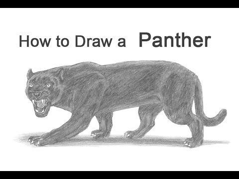 480x360 How To Draw A Black Panther - Panther Drawing