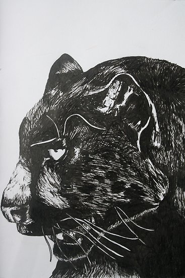367x550 Panther Drawing Posters - Panther Drawing