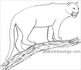 268x232 powerful panther drawings - Panther Drawing