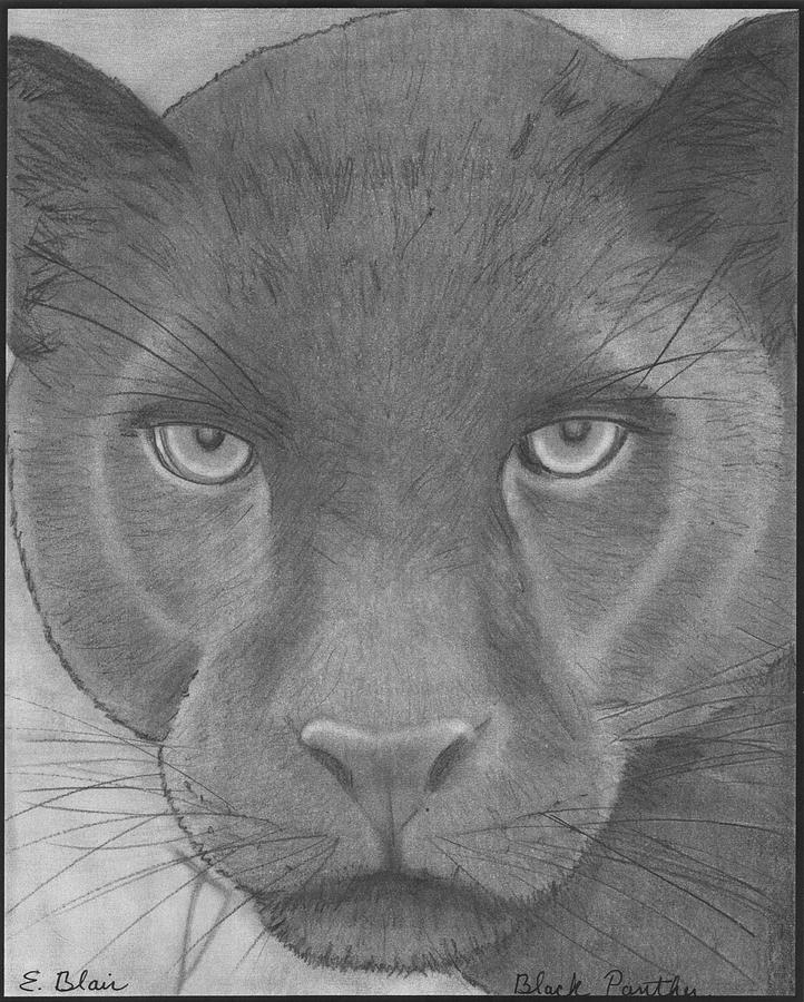 722x900 Black Panther Drawing - Panther Drawing
