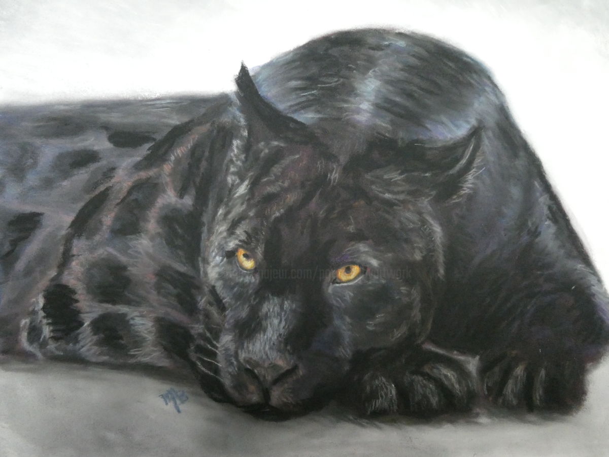 1200x900 black panther drawing - Panther Drawing