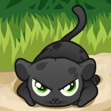 220x220 How To Draw How To Draw A Panther For Kids - Panther Drawing Images