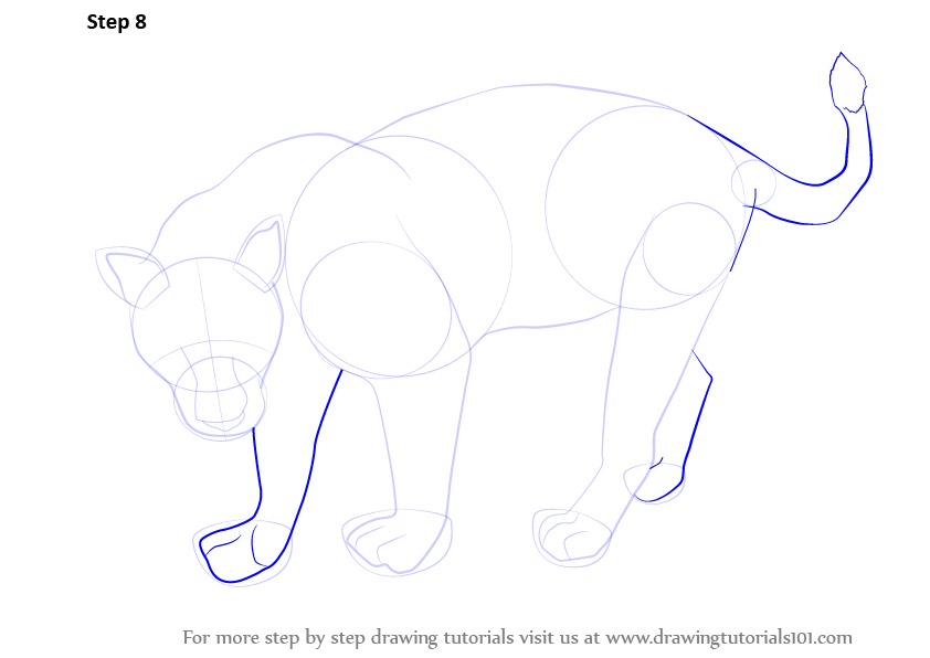 842x596 Learn How To Draw A Black Panther - Panther Drawing Outline