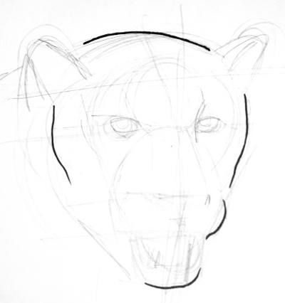 400x426 Panther Face Drawing Art Drawings Drawings, Art Drawings, Art - Panther Face Drawing