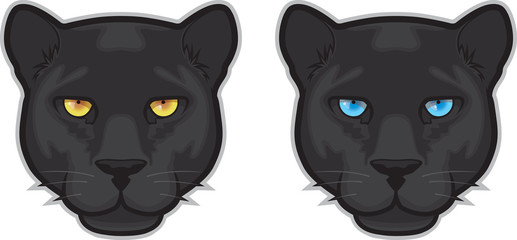 517x240 panther photos, royalty free images, graphics, vectors videos - Panther Face Drawing