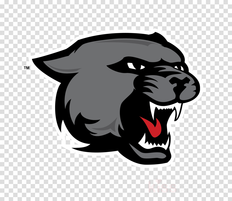 900x780 Lion, Cat, Transparent Png Image Clipart Free Download - Panther Head Drawing