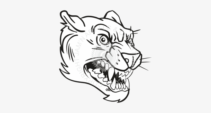 820x441 Panther Head Line Drawing - Panther Head Drawing
