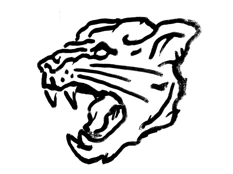 800x600 Panther Head - Panther Head Drawing