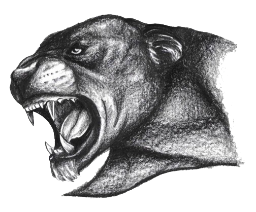 504x418 Panther Head Tattoo - Panther Head Drawing