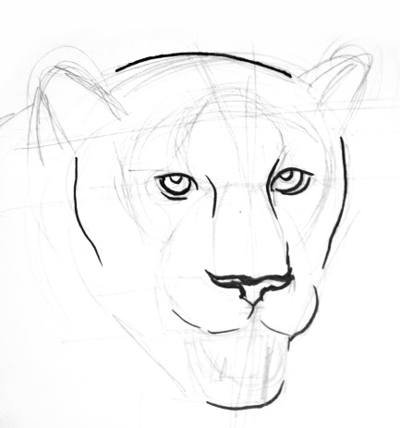 Panther Line Drawing at PaintingValley.com | Explore collection of ...