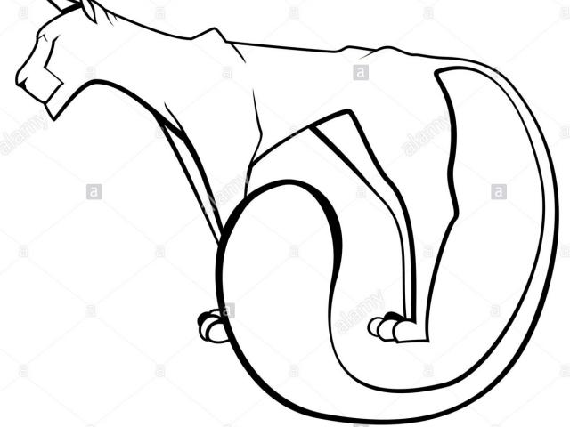 640x480 Panther Clipart Line Drawing - Panther Line Drawing