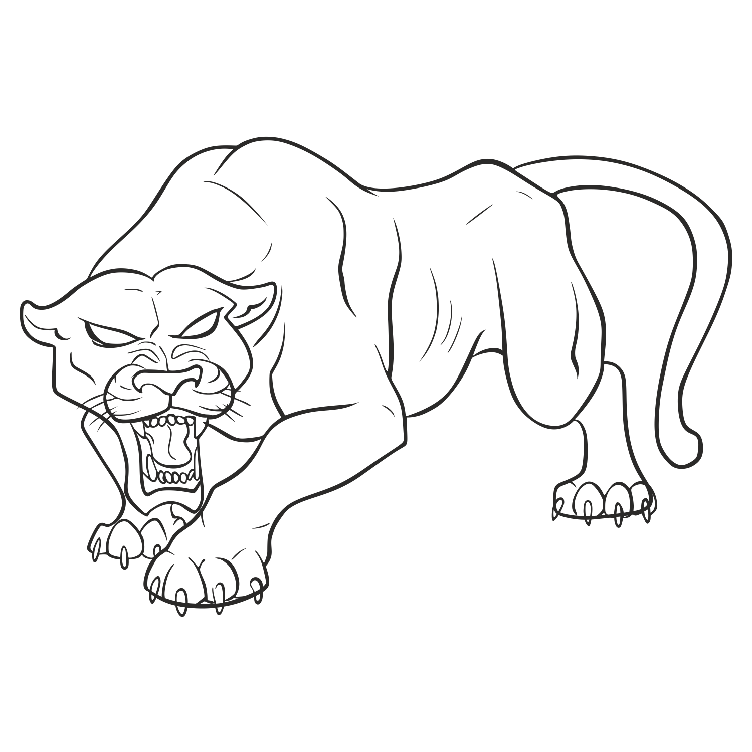 Panther Line Drawing at Explore collection of