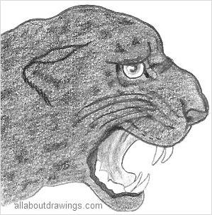 299x303 Powerful Panther Drawings - Panther Pencil Drawing