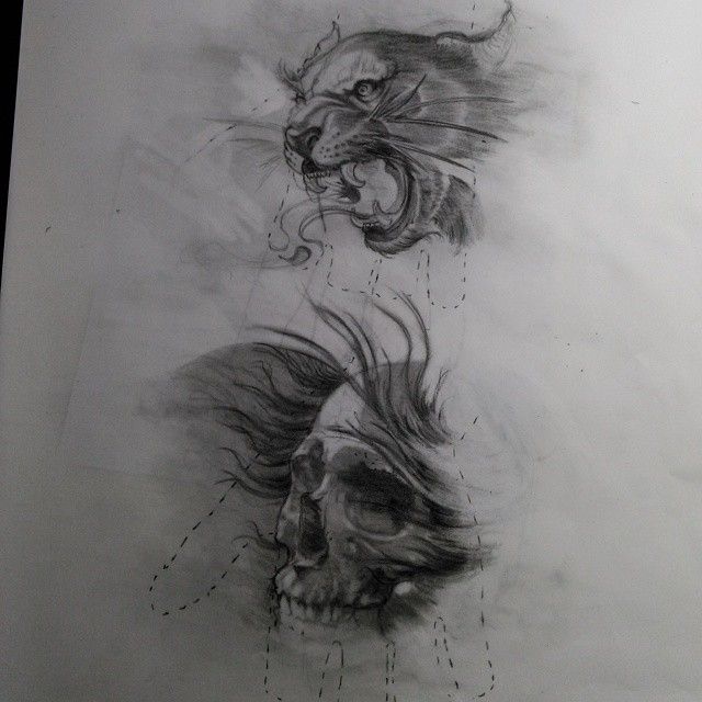 Panther Pencil Drawing at PaintingValley.com | Explore collection of ...