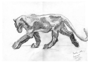300x213 Artwork - Panther Pencil Drawing