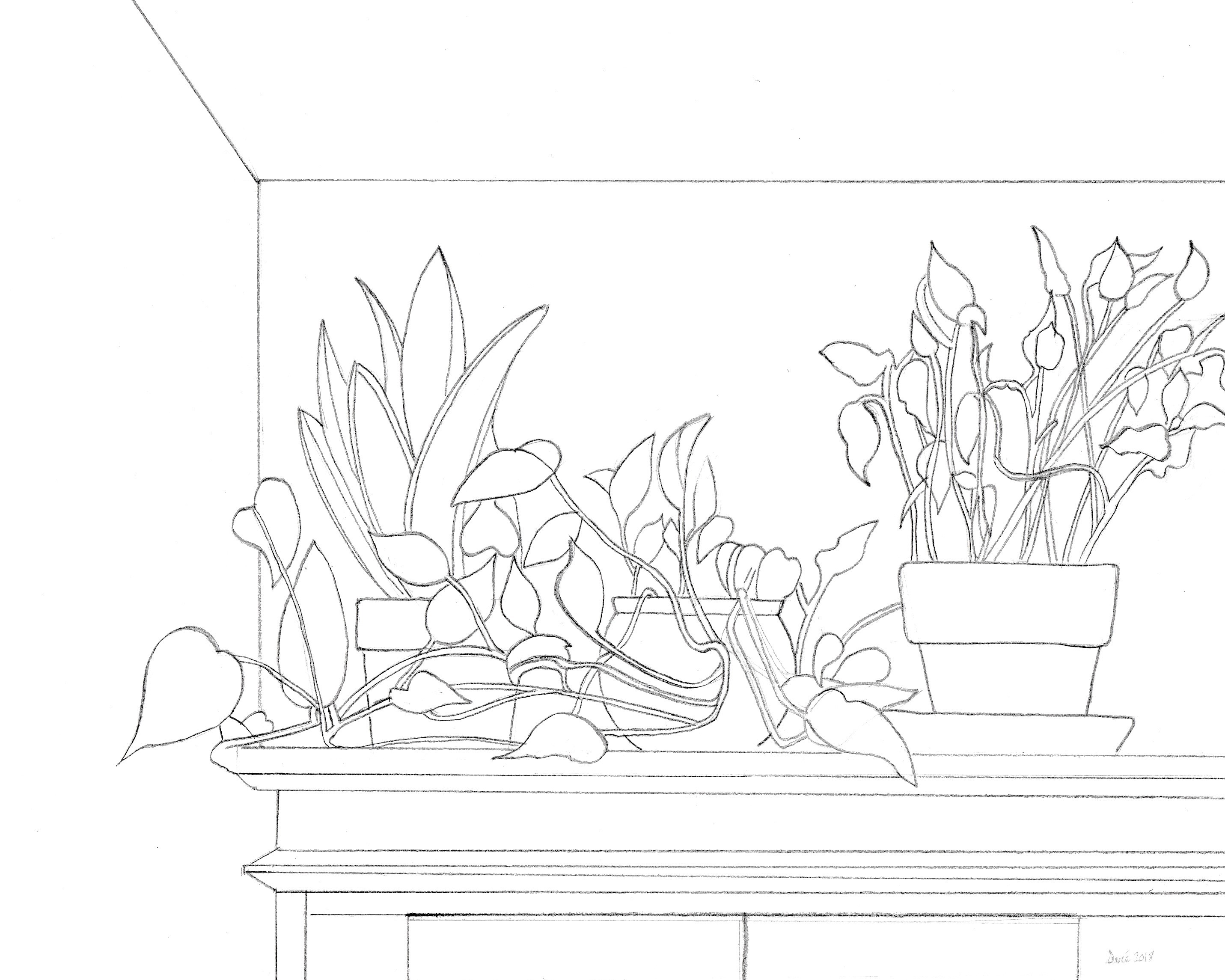 2862x2290 sketch of house plants on a kitchen pantry visual art - Pantry Drawing
