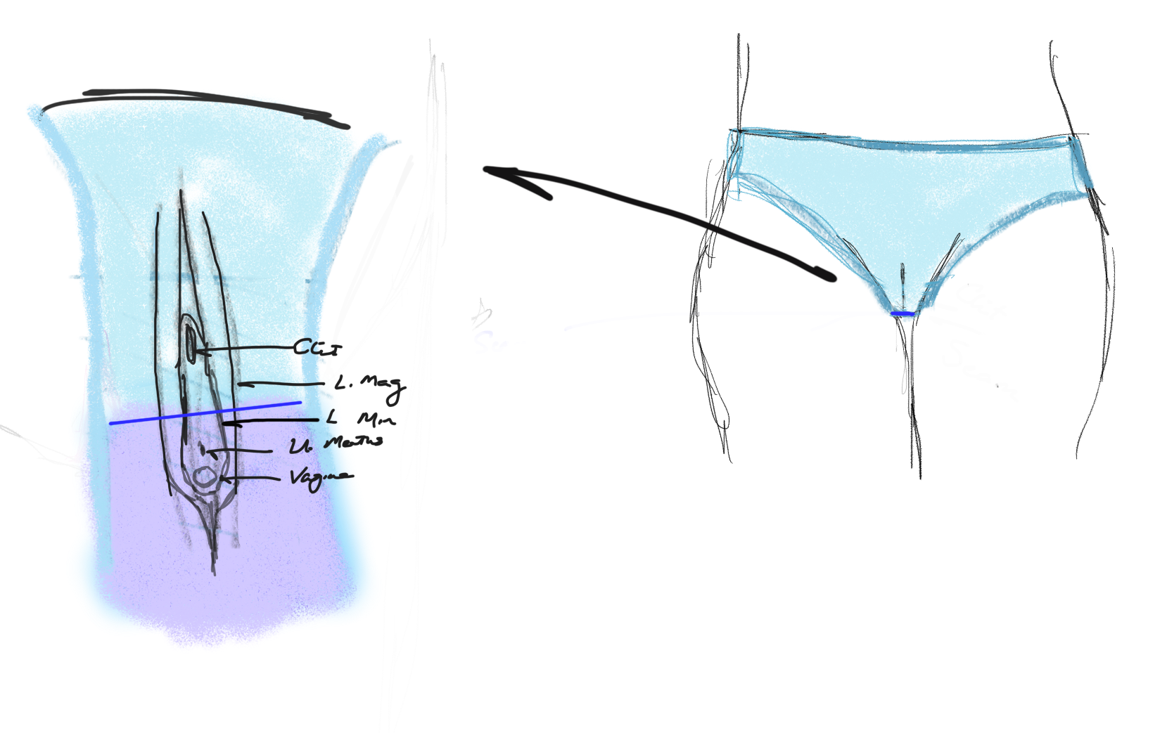 1659x1043 panty gussets my gifted life - Panty Drawing