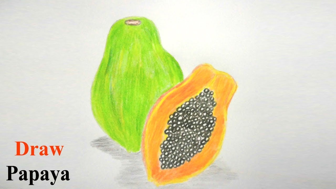 1280x720 How To Draw Papaya Step - Papaya Drawing