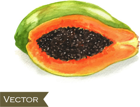 470x360 Papaya Clipart Drawing - Papaya Drawing