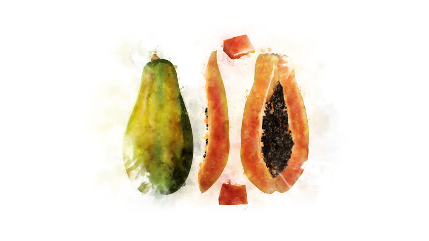 852x480 papaya drawing stock video footage - Papaya Drawing