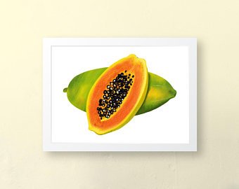 340x270 Papaya Drawing Etsy - Papaya Drawing