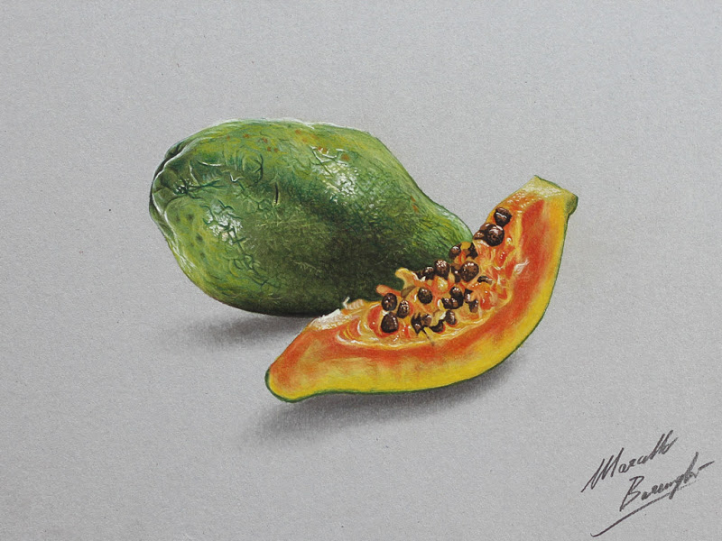 800x600 The Papaya - Papaya Drawing