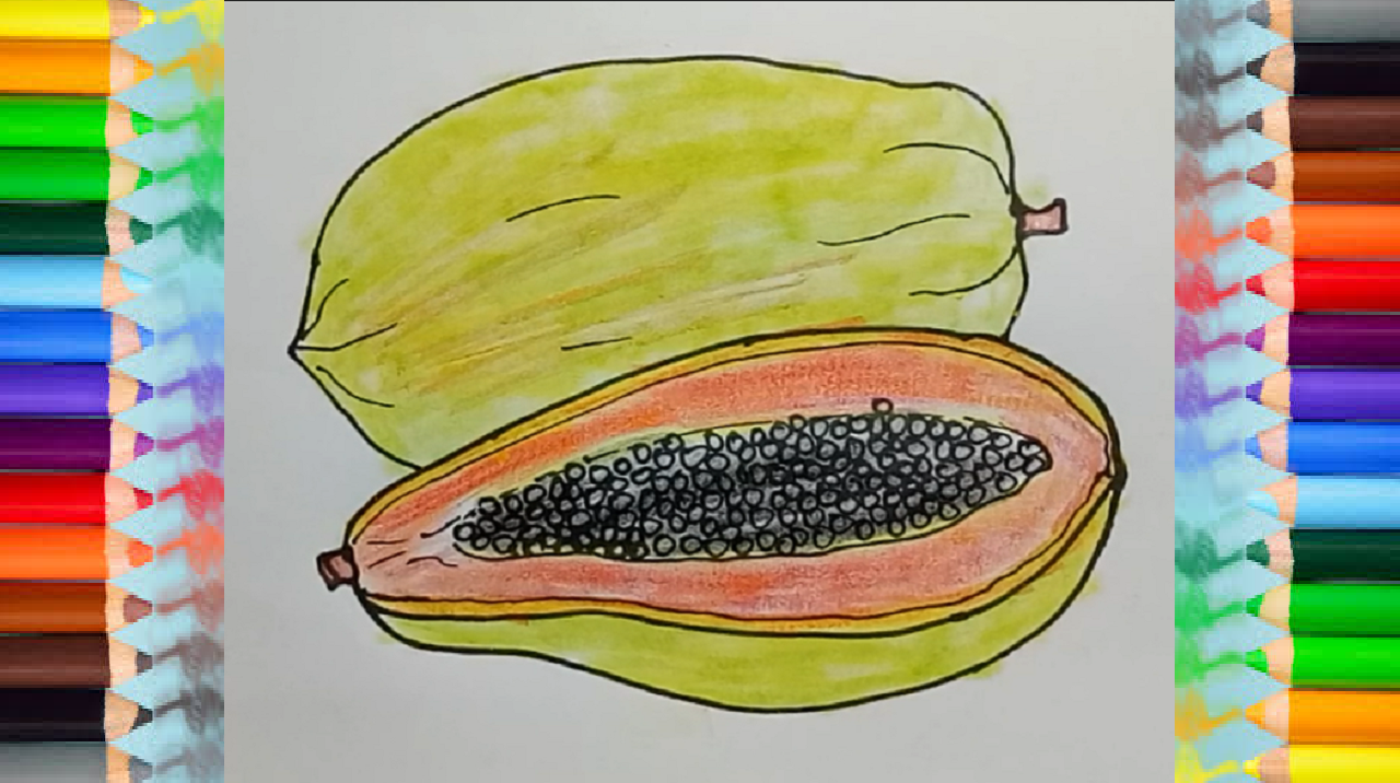 1280x716 how to draw papaya fruit fruit drawing and coloring - Papaya Drawing