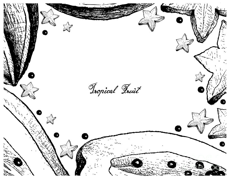 900x700 Hand Drawn Frame Of Fresh Papaya And Carambola Fruits - Papaya Fruit Drawing