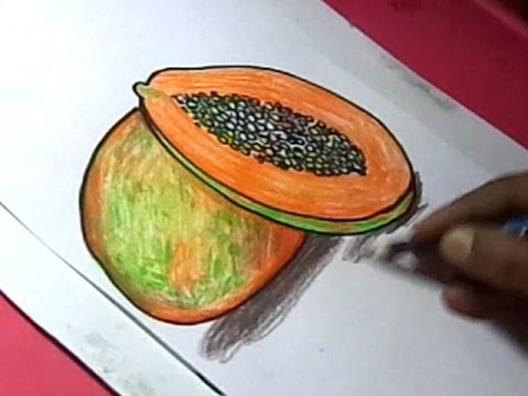480x360 How To Draw Papaya Fruit Drawing For Kids - Papaya Fruit Drawing