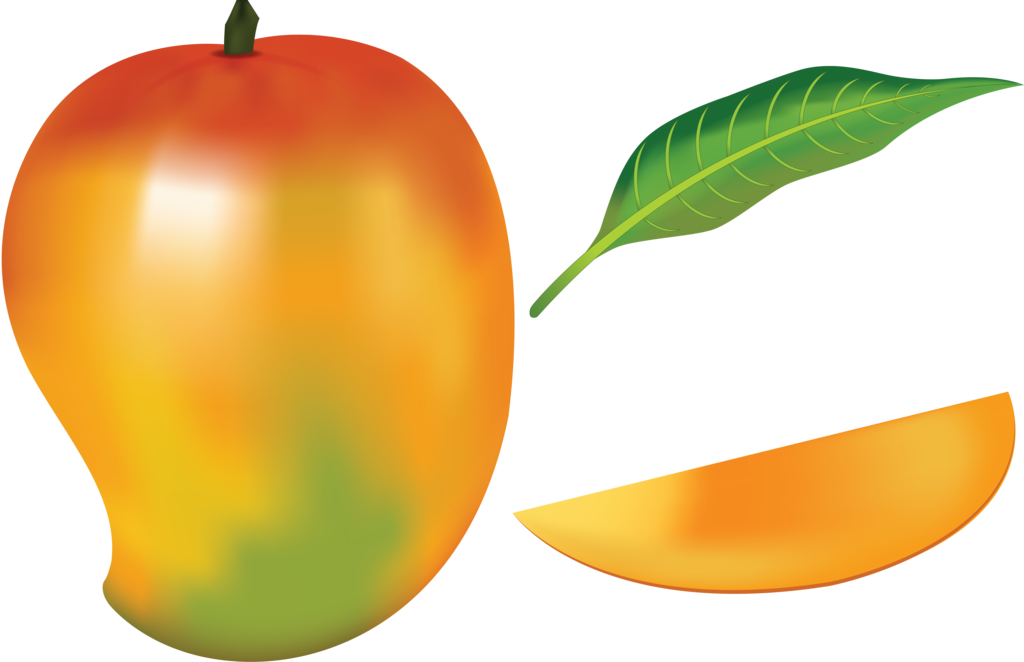 1024x662 Papaya Drawing Fruit Transparent Png Clipart Free Download - Papaya Fruit Drawing