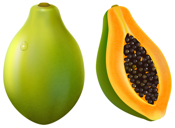 600x439 Papaya Drawing Mango Fruit Transparent Png Clipart Free Download - Papaya Fruit Drawing