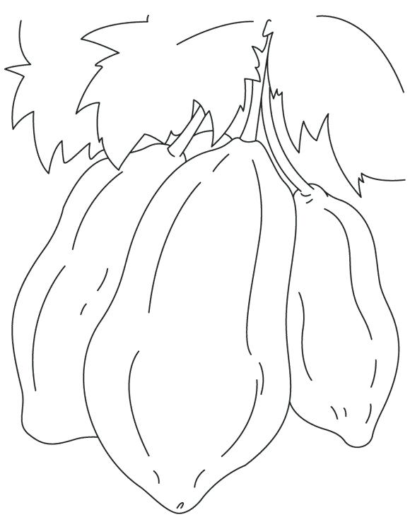 580x749 Papaya Fruit Drawing - Papaya Fruit Drawing