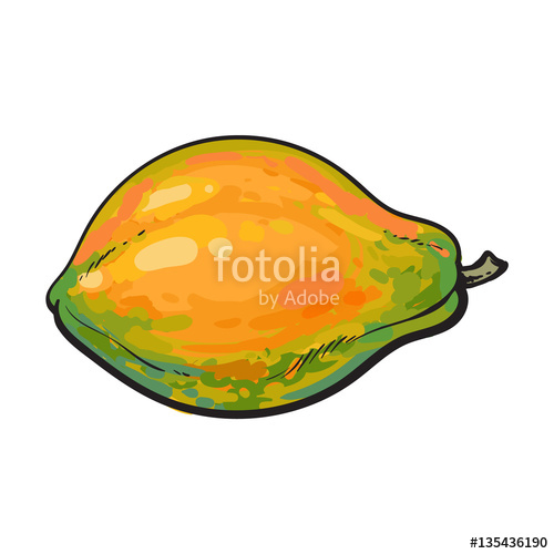 500x500 Whole Unpeeled, Uncut Papaya Tropical Fruit In Horizontal Position - Papaya Fruit Drawing