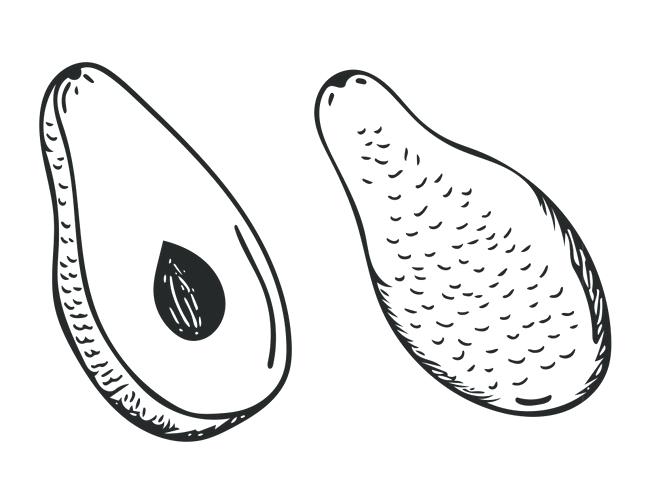 650x483 Coloring Pages To Print Out For Adults Teens Disney Papaya Fruit - Papaya Fruit Drawing