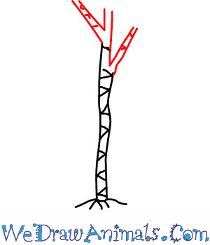 300x350 How To Draw A Papaya Tree - Papaya Tree Drawing