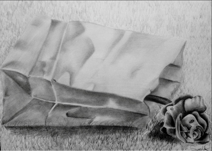 697x499 rose in a paper bag drawing - Paper Bag Drawing