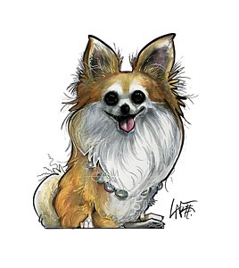 268x300 Papillon Drawings - Papillon Drawing