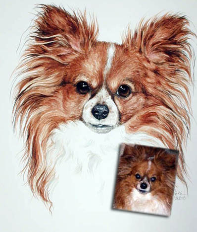 398x467 studio l'image dog art, sculpture and figurines - Papillon Drawing