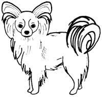 200x190 Papillon Dog Art - Papillon Drawing