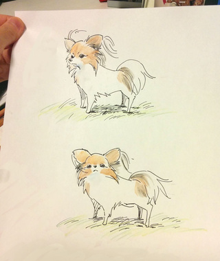 320x380 Papillon Drawings On Paigeeworld Pictures Of Papillon - Papillon Drawing