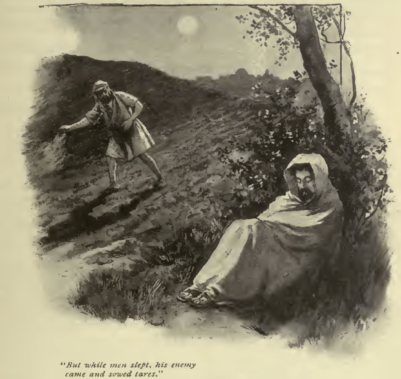 805x762 parable of the tares - Parable Drawing