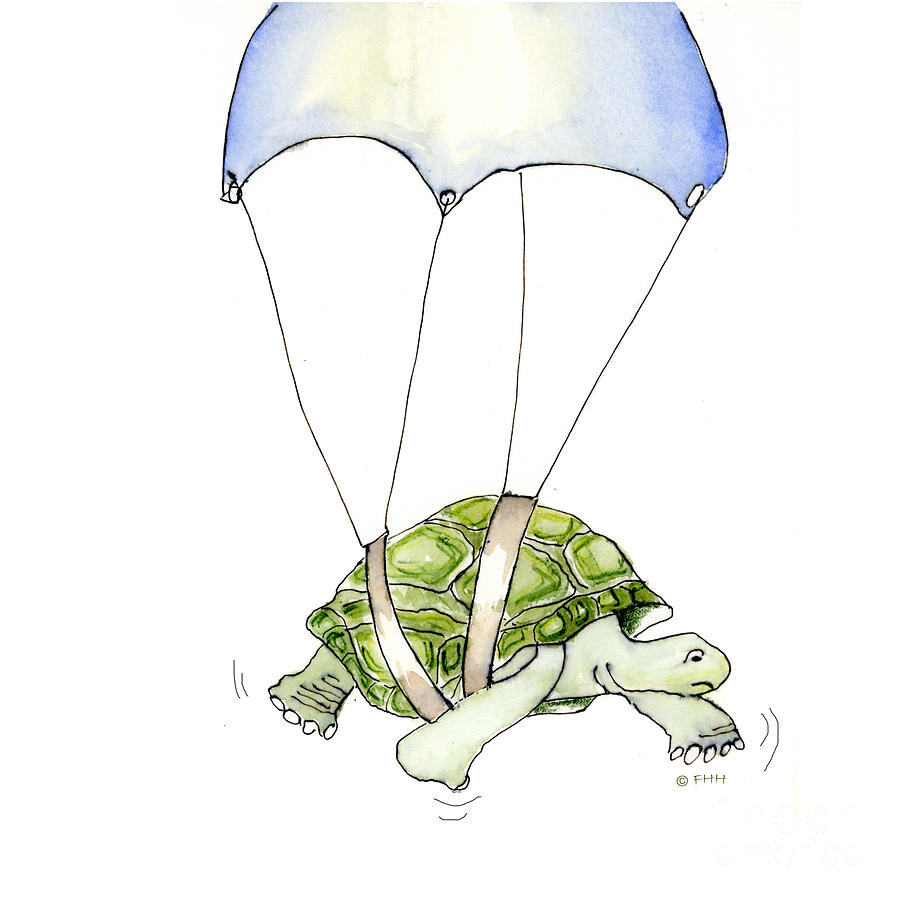 900x900 parachute turtle drawing - Parachute Drawing