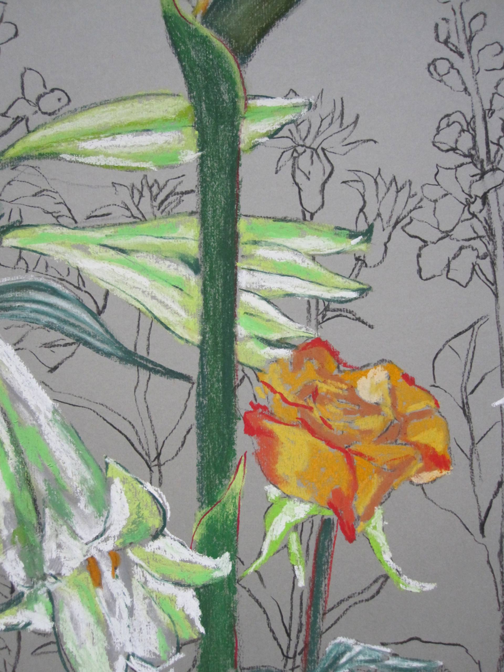 1920x2560 bird of paradise drawing - Paradise Drawing