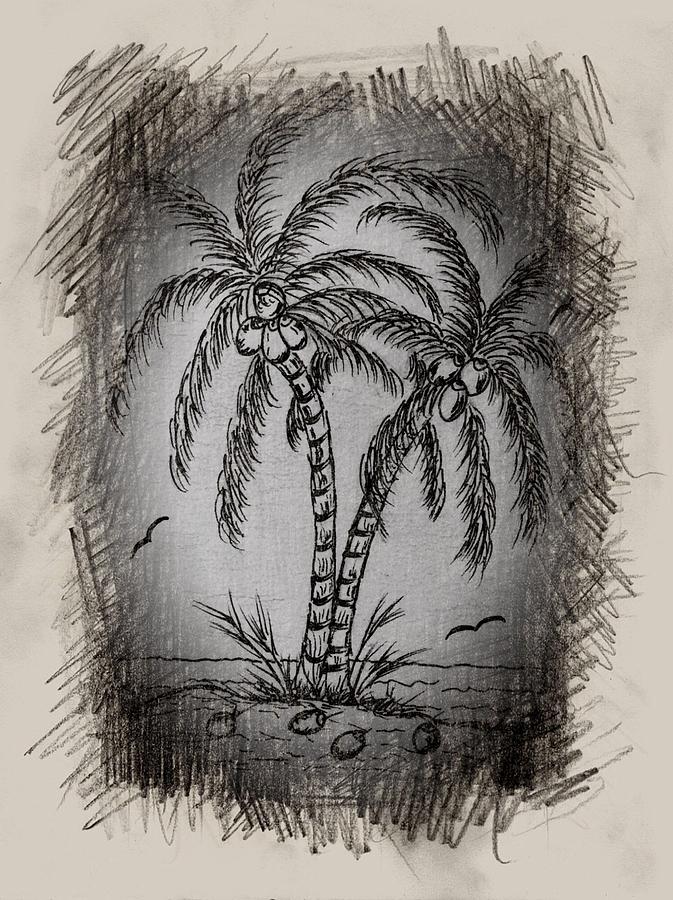 673x900 coconut tree in paradise drawing - Paradise Drawing