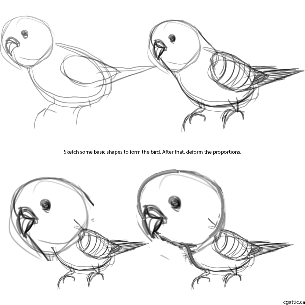 1000x1000 parakeet cartoon drawing in steps with photoshop - Parakeet Drawing