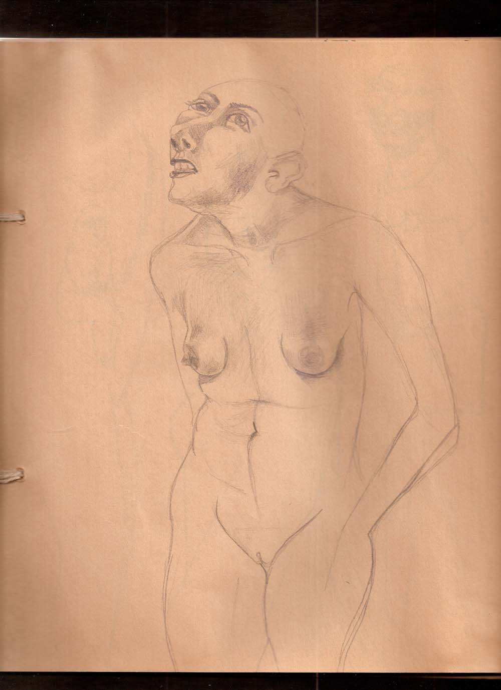 1000x1378 parcel paper sketchbookdrawings from another century - Parcel Drawing