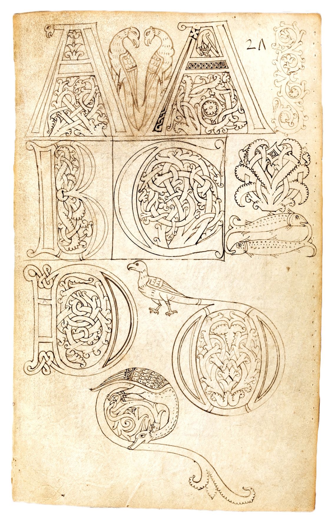 1131x1765 model book of initials - Parchment Drawing