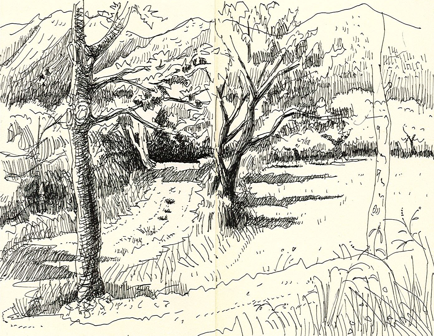 1392x1077 wonderful paris drawing from architecture and interior design pca - Paris Drawing