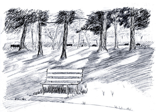 500x359 Wde Aug - Park Bench Drawing