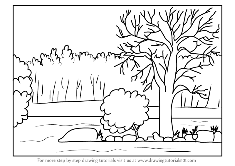 800x566 learn how to draw pench national park - Park Drawing